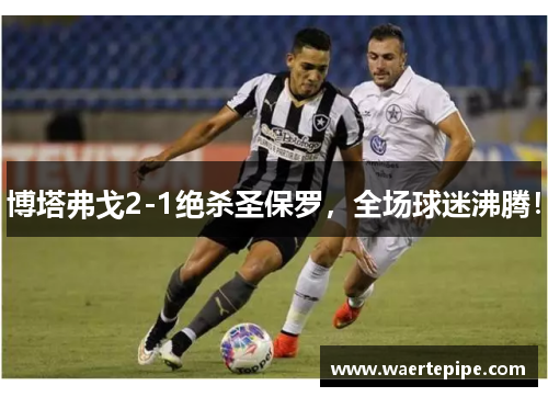 博塔弗戈2-1绝杀圣保罗，全场球迷沸腾！